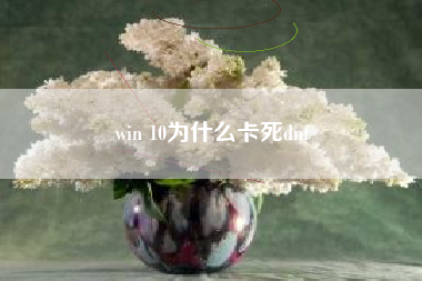 win 10为什么卡死dnf