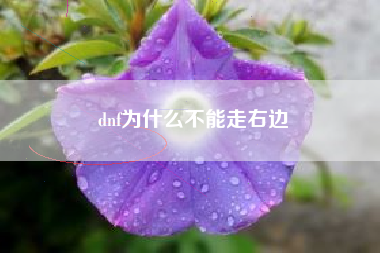 dnf为什么不能走右边