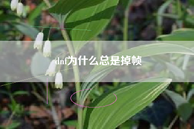 dnf为什么总是掉帧