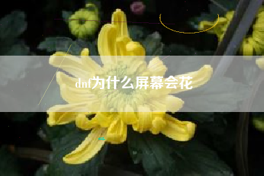 dnf为什么屏幕会花