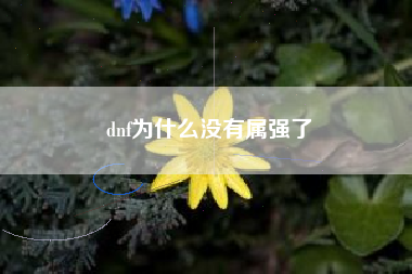 dnf为什么没有属强了