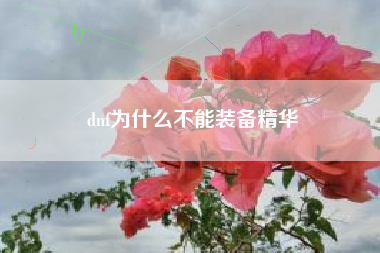 dnf为什么不能装备精华