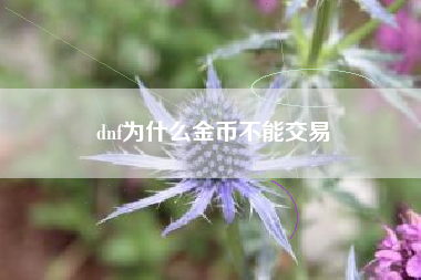 dnf为什么金币不能交易