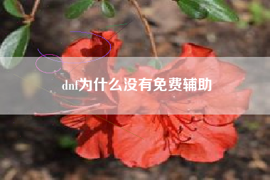 dnf为什么没有免费辅助