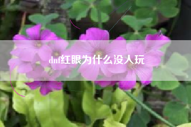 dnf红眼为什么没人玩