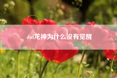 dnf龙神为什么没有觉醒