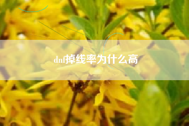 dnf掉线率为什么高