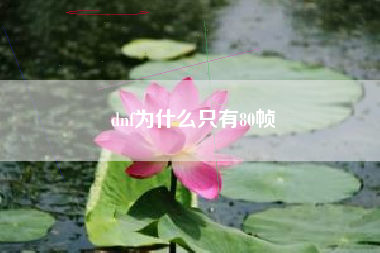 dnf为什么只有80帧