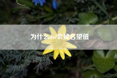 为什么dnf会掉名望值