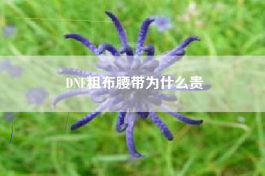 DNF粗布腰带为什么贵