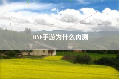 DNF手游为什么内测