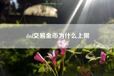 dnf交易金币为什么上限