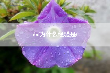 dnf为什么经验是0