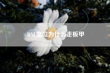 DNF鬼泣为什么走板甲