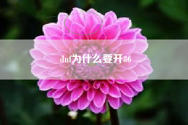 dnf为什么要开86