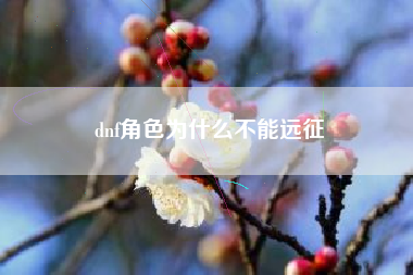 dnf角色为什么不能远征