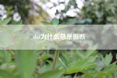 dnf为什么总是假断