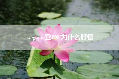 wegame登DNF为什么好慢