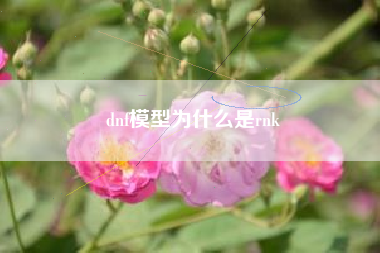 dnf模型为什么是rnk