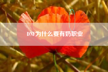 DNF为什么要有奶职业