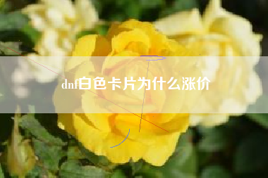 dnf白色卡片为什么涨价