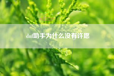 dnf助手为什么没有许愿