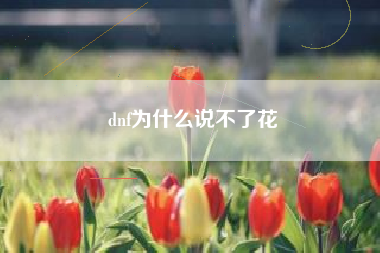 dnf为什么说不了花