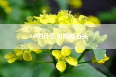 dnf为什么组队搬石头