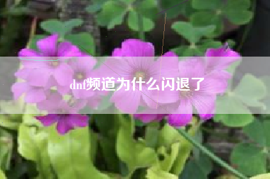 dnf频道为什么闪退了