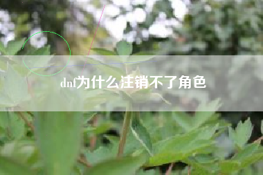 dnf为什么注销不了角色