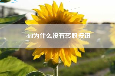 dnf为什么没有转职按钮