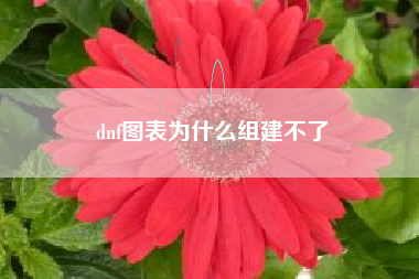 dnf图表为什么组建不了