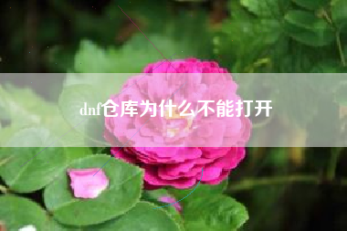 dnf仓库为什么不能打开