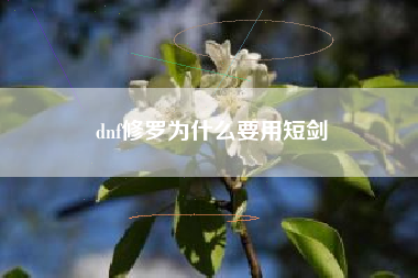 dnf修罗为什么要用短剑