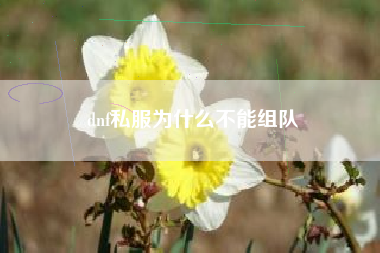 dnf私服为什么不能组队