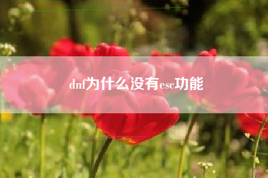 dnf为什么没有esc功能