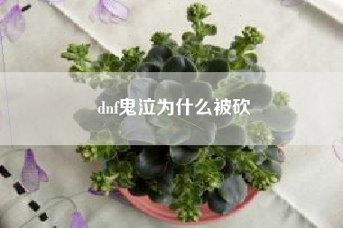 dnf鬼泣为什么被砍