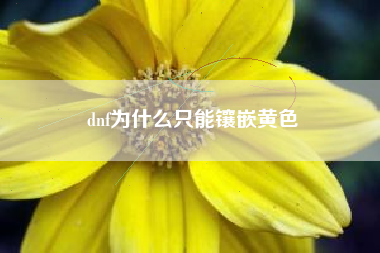 dnf为什么只能镶嵌黄色