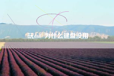 玩dnf  为什么键盘没用