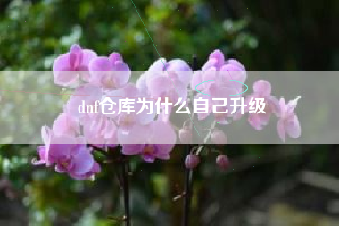 dnf仓库为什么自己升级