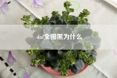 dnf全图黑为什么