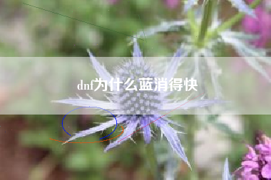 dnf为什么蓝消得快