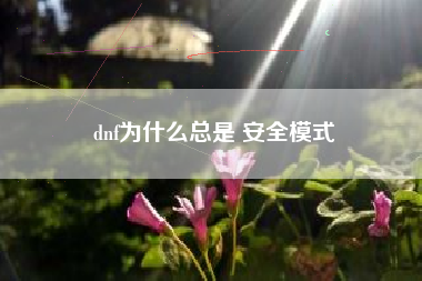 dnf为什么总是 安全模式