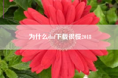 为什么dnf下载很慢2018