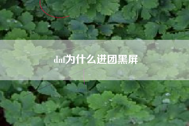 dnf为什么进团黑屏