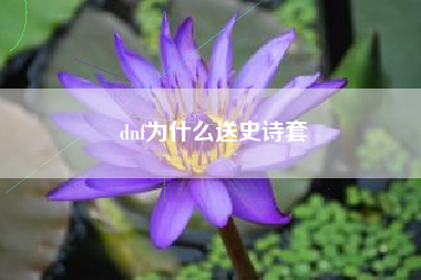 dnf为什么送史诗套