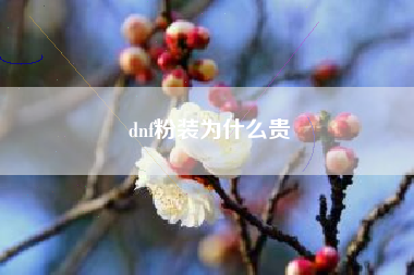 dnf粉装为什么贵