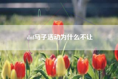 dnf马子活动为什么不让