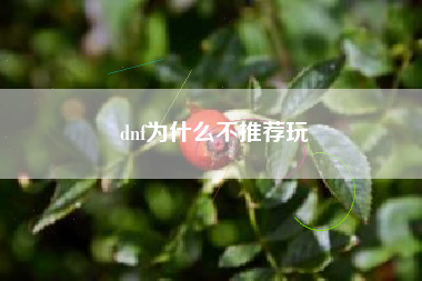 dnf为什么不推荐玩