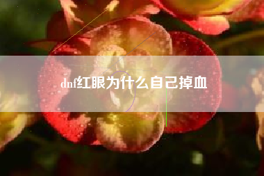 dnf红眼为什么自己掉血